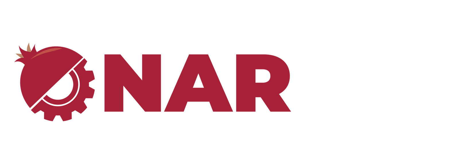 narçit logo